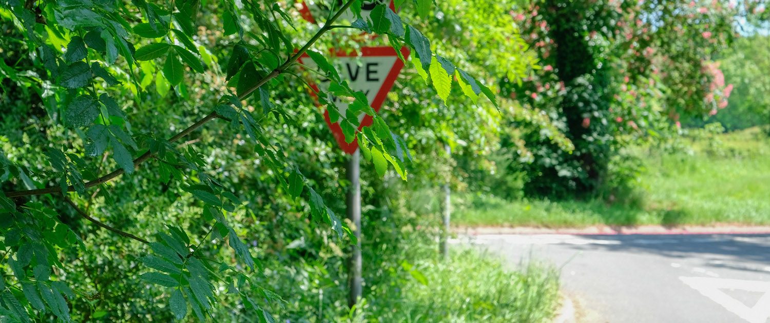 obscured road sign